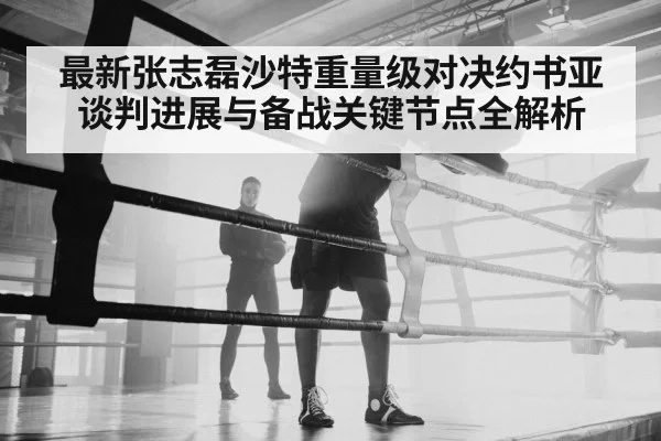 最新张志磊沙特重量级对决约书亚谈判进展与备战关键节点全解析